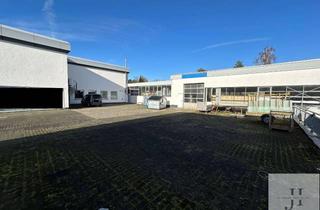 Büro zu mieten in 59757 Arnsberg, Produktions/ Lagerhalle mit Büroflächen in Arnsberg zu vermieten