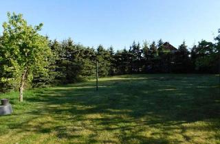 Grundstück zu kaufen in 19089 Crivitz, 787 m² Rohbauland in Ruthenbeck