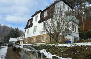 Villa kaufen in 31737 Rinteln, Ihr neues IMMOBILIEN QUARTIER: Villa mit 3 Whg. in Bestlage von Steinbergen direkt am Waldrand