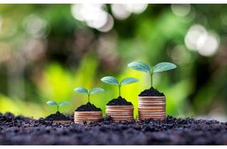 Gewerbeimmobilie kaufen in 86899 Landsberg, Grundstück mit angrenzender Garten- und Wiesenfläche Gemarkung Reisch zur Kapitalanlage