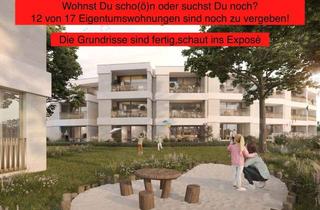 Wohnung kaufen in Hirtenplatz 22, 09599 Freiberg, 12 von 17 Eigentumswohnungen sind noch zu vergeben! "Quartier Drei Linden"