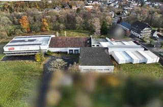 Gewerbeimmobilie kaufen in 57647 Nistertal, Gewerbeimmobilie mit ca. 6000m² NF auf knapp 16000m² Grundstück; zentral zwischen Siegen und Koblenz
