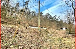 Grundstück zu kaufen in 67317 Altleiningen, Planiertes Baugrundstück in Hang- und Waldrandlage für den Neubau eines Einfamilienhauses!