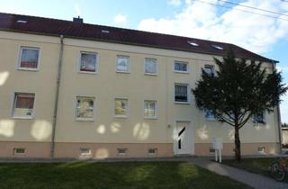 Wohnung mieten in Lindenallee 43, 39249 Barby (Elbe), Wohnen mit Elbblick