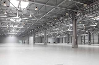 Gewerbeimmobilie mieten in 79336 Herbolzheim, Industrie-/Logistikhalle in top Lage - JLL