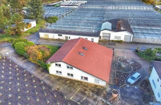 Gewerbeimmobilie kaufen in 76767 Hagenbach, Vielseitiges Wohn- und Geschäftshaus in Hagenbach: 400 m² Gesamtfläche für Wohnen und Arbeiten
