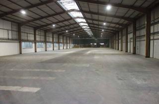 Gewerbeimmobilie mieten in Kreuzmattstraße, 79664 Wehr, Lagerhalle in Wehr zu vermieten