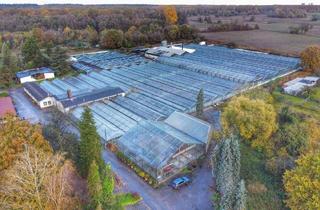 Gewerbeimmobilie kaufen in 76767 Hagenbach, Attraktiver Gartenbaubetrieb auf 26.000 m²: Privilegierter Außenbereich mit Entwicklungspotenzial