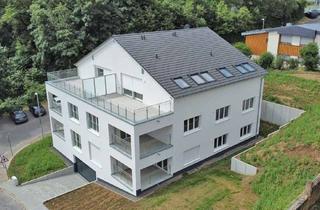 Penthouse kaufen in 55411 Bingen am Rhein, Energieeffiziente Penthousewohnung mit unverbauten Blick