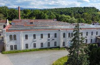 Büro zu mieten in Hauptstraße 94, 72827 Wannweil, Gründerzeithalle mit Büro * modernisiert * CO2-neutral