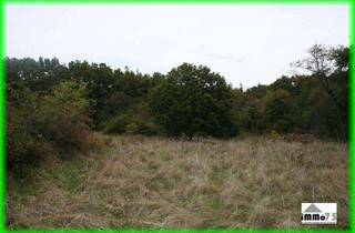 Grundstück zu kaufen in 75417 Mühlacker, schönes Wiesengrundstück zwischen Dürrmenz und Niefern auf Höhe Enzberg