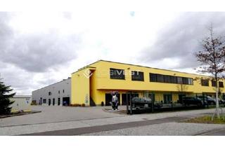 Gewerbeimmobilie mieten in 48599 Gronau (Westfalen), Attraktive Lagerhalle in TOP Lage