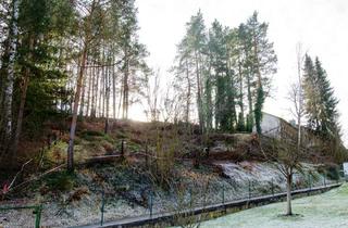 Grundstück zu kaufen in 91284 Neuhaus, Baugrundstück in Hanglage in Finstermühle, erschlossen