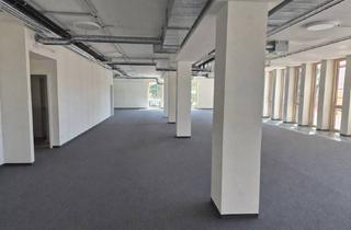 Büro zu mieten in Ziegeleistraße 12, 75417 Mühlacker, Brick №12 - Das neue Bürogebäude in Mühlackers zentralster Lage
