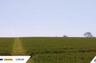 Grundstück zu kaufen in 24800 Elsdorf-Westermühlen, Baugrundstück für ein EFH in Elsdorf-Westermühlen | Lütt Immobilien | Ihr Immobilienmakler in Kiel