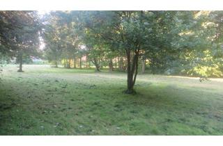 Grundstück zu kaufen in 27580 Lehe, Vielseitig nutzbares Baugrundstück für Wohnungsbau im Herzen von Bremerhaven