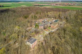 Gewerbeimmobilie kaufen in 38259 Flachstöckheim, Salzgitter-Flachstöckheim: Großzügiges Gewerbegrundstück umgeben von eigenem Wald!