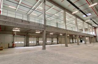 Gewerbeimmobilie mieten in 63110 Rodgau, ESG-Zukunft: 4.500m² große, moderne Gewerbehalle in nachhaltiger Toplage
