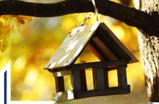 Grundstück zu kaufen in 24805 Hamdorf, Bauplatz für ein EFH in Hamdorf | provisionsfrei für den Käufer | Lütt Immobilien | Ihr Immobilienmakler in Kiel