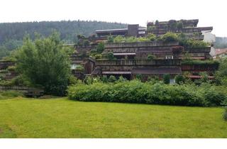 Wohnung kaufen in 75323 Bad Wildbad, Wohnung am Kurpark mit Garage im schönen Kurort mit herlicher Aussicht