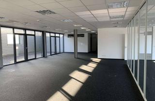 Büro zu mieten in Riedstr., 79787 Lauchringen, Bürofläche im Wohnparc Dick zu vermieten + Optionalen Konferenzraum