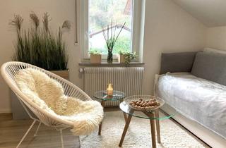 Wohnung mieten in 64625 Bensheim, Gemütliches Studio mit modernem Bad