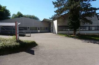 Büro zu mieten in Klammsbosch 10, 77880 Sasbach, VERMIETE Büro ab 25m², Lager- und Produktionsflächen - ab 100m² flexibel einteilbar -