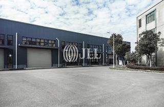 Gewerbeimmobilie mieten in 50389 Wesseling, Neubau | Lager-/Produktionsfläche | Rampe+Ebenerdig | Beheizt