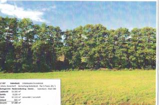Grundstück zu kaufen in Teich Am Rohkrug, 17337 Uckerland, Grundstück ca. 5,7 Ha - Wald-, Wasserfläche, Unland (Annenhof)