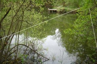 Anlageobjekt in 63165 Mühlheim, Nobelino.de - Wochenendgrundstück / Freizeitgrundstück am Grünen See in Mühlheim am Main