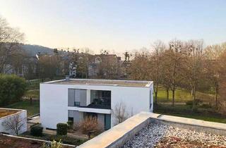 Wohnung kaufen in 53129 Dottendorf, Sanierte Altbauwohnung in Bonn-Dottendorf: Charmante Wohnung mit Dachterrasse ins Grüne / Venusberg