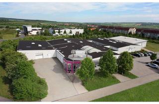 Gewerbeimmobilie kaufen in 37351 Dingelstädt, antaris Immobilien GmbH ** Solar aufs Dach und los geht´s! **