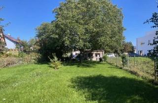 Grundstück zu kaufen in 67308 Albisheim, EUPORA® Immobilien: Ebenes Grundstück mit Bäumen im Ortskern von Albisheim -ideal für Tiny Haus-