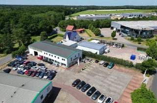 Immobilie kaufen in 21279 Hollenstedt, Vielseitige Gewerbehalle mit Ausstellungsfläche, KFZ-Werkstatt im Gewerbepark Hollenstedt an der A1