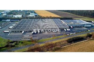 Gewerbeimmobilie mieten in 56412 Heiligenroth, Ca. 15.000 qm Lager- / Logistikflächen | mehrere Rampen | Ca. 7,00 m UKB
