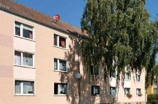 Wohnung mieten in Leipziger Straße 10, 06729 Elsteraue, ANGEBOT DES MONATS: Tolle 3-Raum-Wohnung mit möglichem Garten