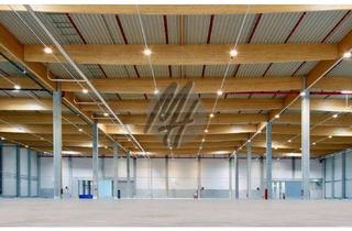 Büro zu mieten in 63755 Alzenau, SCHNELL VERFÜGBAR ✓ Lager-/Logistik (9.500 m²) & Büro (500 m² / erweiterbar)