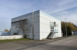 Gewerbeimmobilie mieten in 74336 Brackenheim, Produktions-/Lagerhalle in 74336 Brackenheim