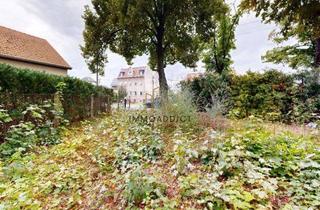 Grundstück zu kaufen in Landsberger Str., 15345 Altlandsberg, Neuer Preis - Naturnahes Grundstück zur Wohnbebauung