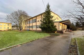 Gewerbeimmobilie mieten in 01591 Riesa, Gewerbekomplex!