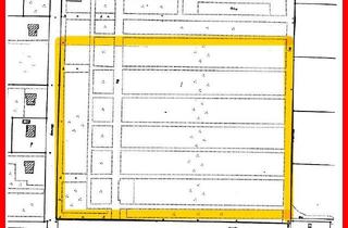 Gewerbeimmobilie kaufen in 26639 Wiesmoor, Ca. 6 ha landwirtschaftliche Fläche in Wiesmoor