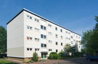 Wohnung mieten in Wiener Straße 24, 45768 Marl, Schöne 2-Raum Wohnung sucht nette Mieter