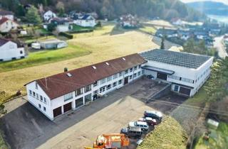 Gewerbeimmobilie kaufen in 72393 Burladingen, Büro-/Produktionsgebäude mit Erweiterungsflächen