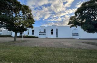 Büro zu mieten in 38644 Goslar, Goslar - Baßgeige: Produktionshalle / Lagerhalle / Vertriebshalle mit Büroräumen in TOP Lage !