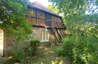 Haus kaufen in 18314 Divitz-Spoldershagen, kernsanierte Haushälfte mit Fachwerk - parkähnliches Grundstück - 2 Wohneinheiten