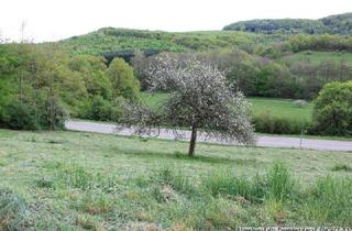 Grundstück zu kaufen in 67737 Frankelbach, 3 Bauplätze im Paket