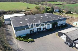 Gewerbeimmobilie mieten in 53881 Euskirchen, KURZFRISTIGE LAUFZEIT MÖGLICH | HALLE | RAMPEN | KÜHLLAGER | 6,0 m UKB | VIDAN REAL ESTATE