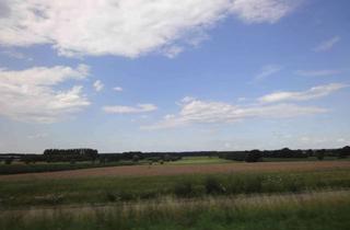 Immobilie kaufen in 21400 Reinstorf, 73 ha landwirtschaftliche Nutzfläche mit Windpotenzialgebiet zu verkaufen