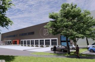 Gewerbeimmobilie mieten in 76756 Bellheim, "BAUMÜLLER AG" ca. 10.000 m² NEUBAU-Logistikfläche - Nähe A 65 - Rampen- /ebenerdige Andienung