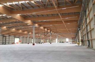Gewerbeimmobilie mieten in 64521 Groß-Gerau, "BAUMÜLLER AG" - kurzfristig verfügbar - ca. 10.000 m² Logistik-Halle -